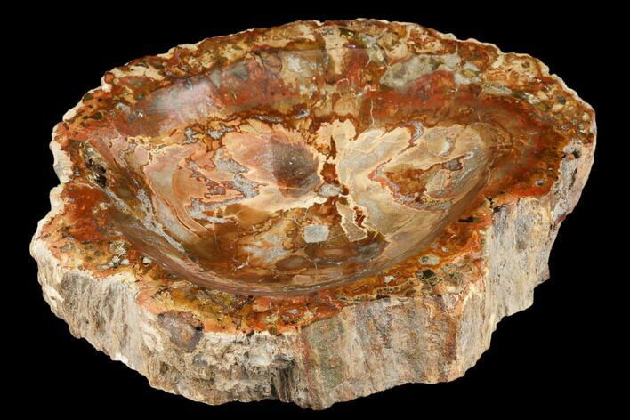 Colorful Polished Petrified Wood Dish - Madagascar #182868